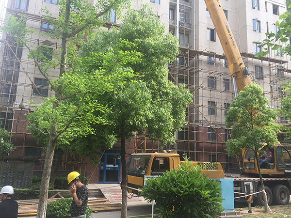 建筑维修改造TX